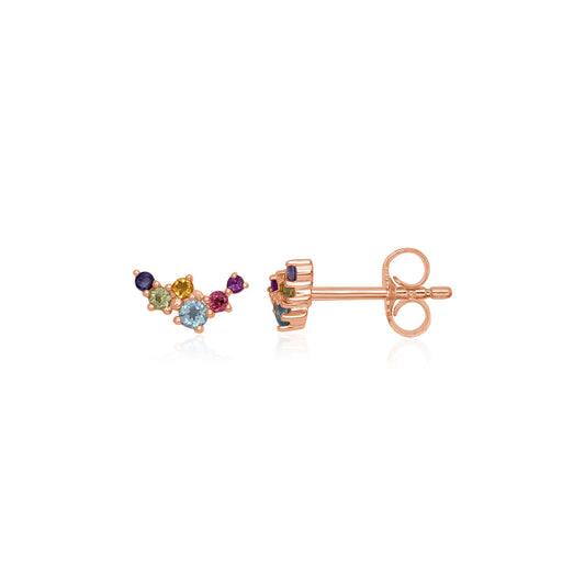 Layered Luxe  - Multi Color Studs